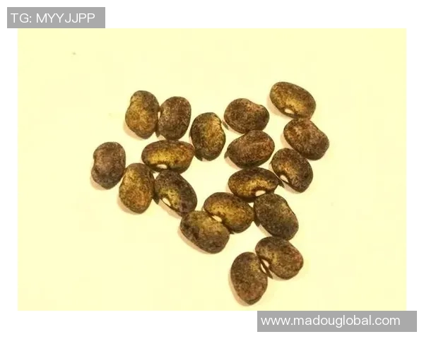 91麻豆种子-探索91麻豆种子的奥秘-91麻豆种子大全