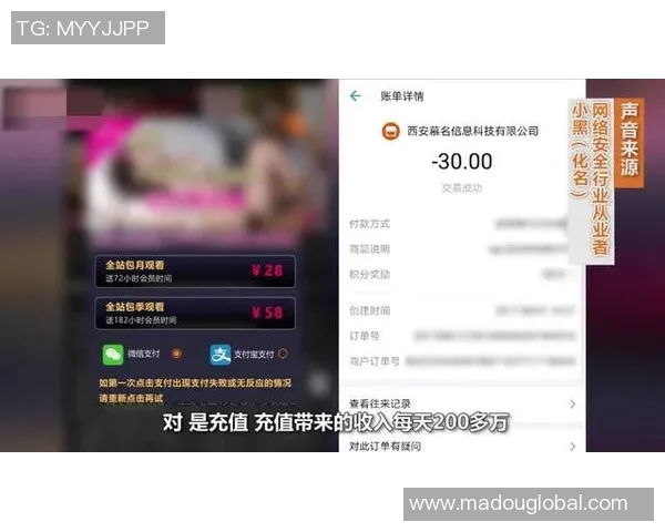 18种禁用app软件麻豆-关于禁用App软件麻豆的警示性探讨-18种禁用app软件麻豆